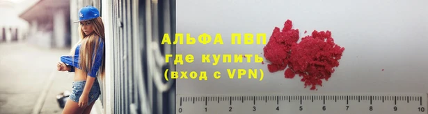 СК Алзамай