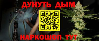 шишки Бердск