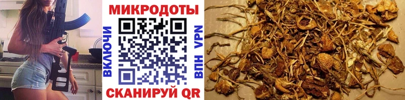 ссылка на мегу вход  Нарьян-Мар  Галлюциногенные грибы прущие грибы 
